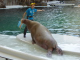 img0043.jpg