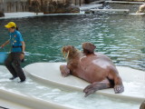 img0044.jpg