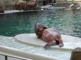 img0046.jpg