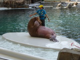 img0047.jpg