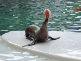 img0050.jpg