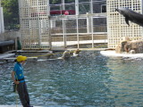 img0051.jpg