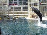 img0052.jpg