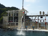 img0053.jpg