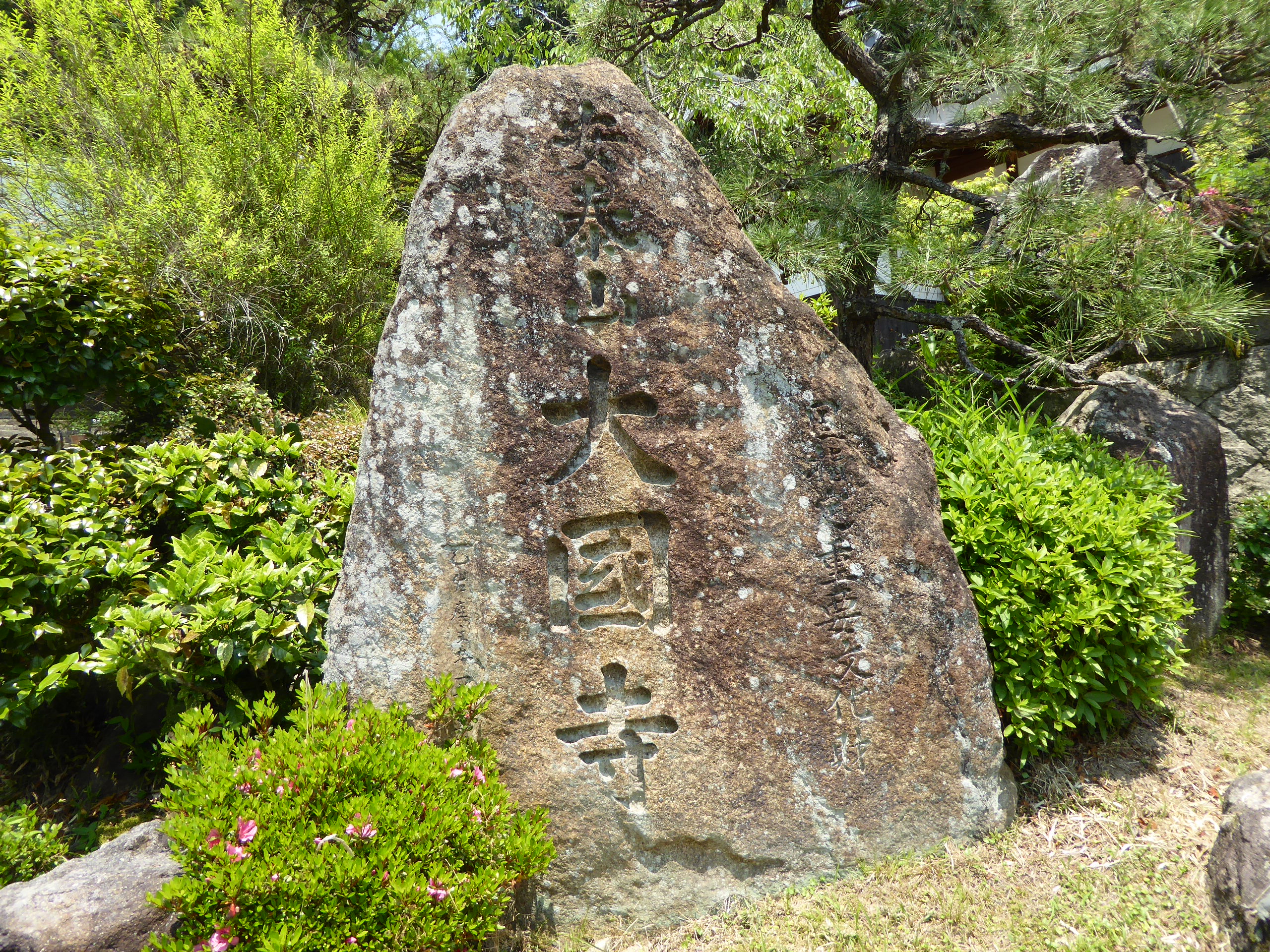 P1060155.JPG