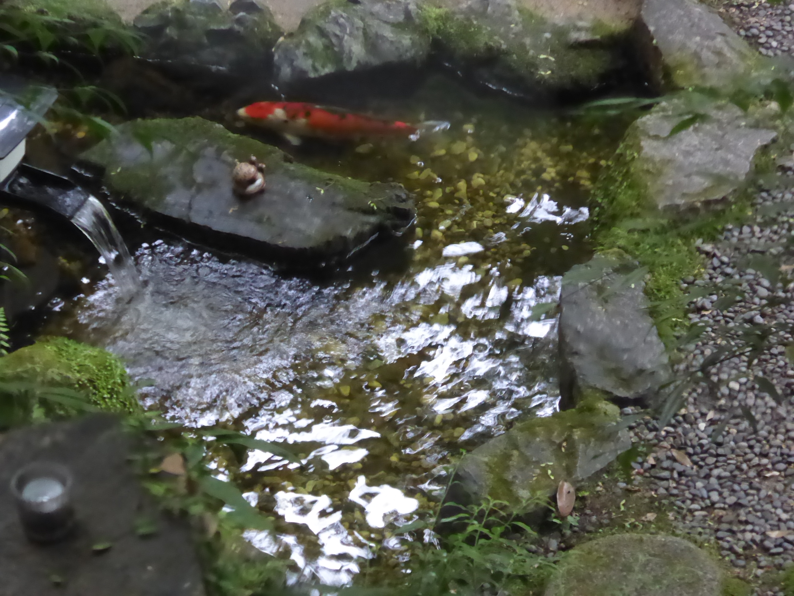 P1060187.JPG