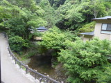img0009.jpg