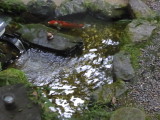img0012.jpg