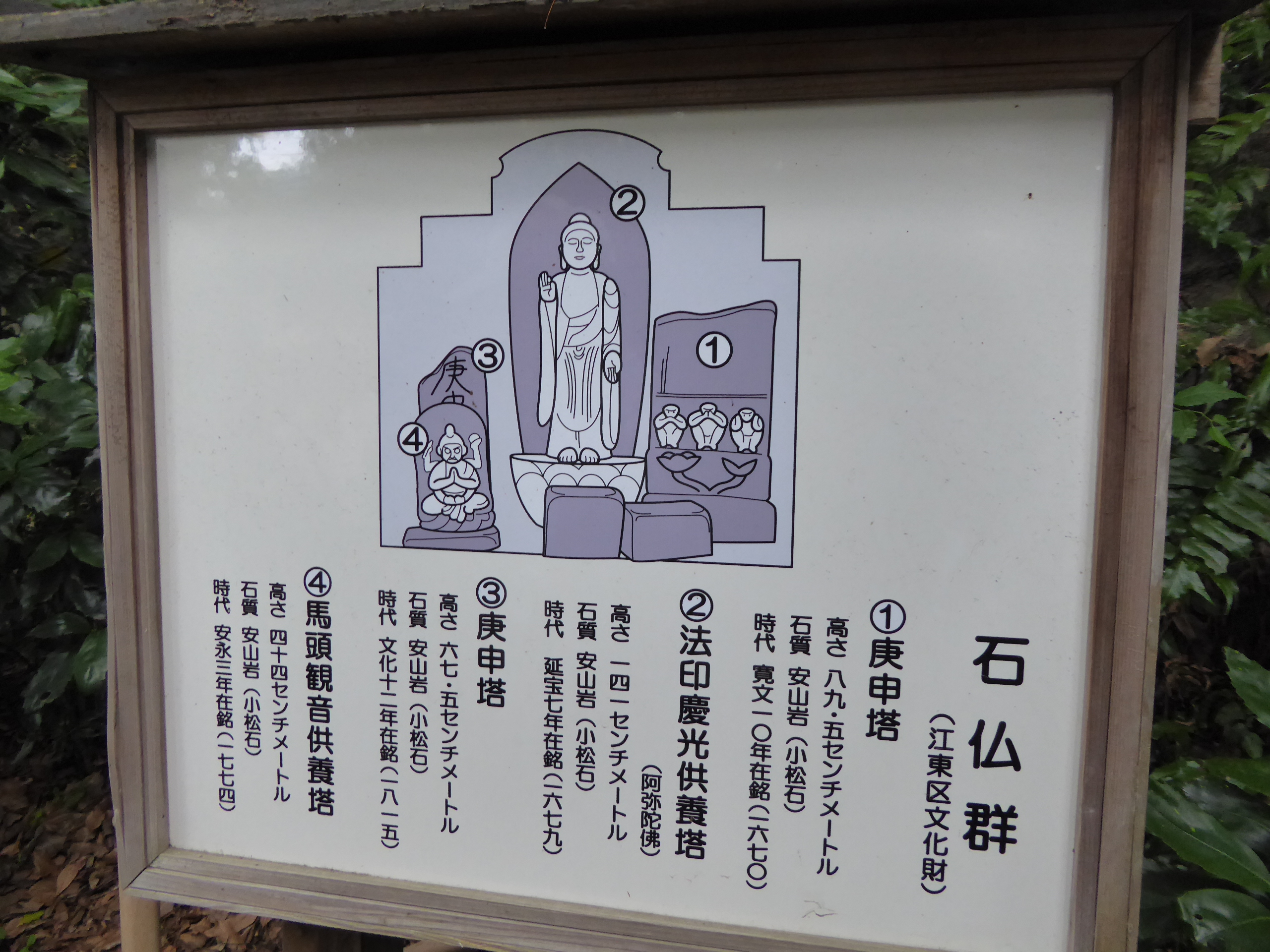 P1060211.JPG