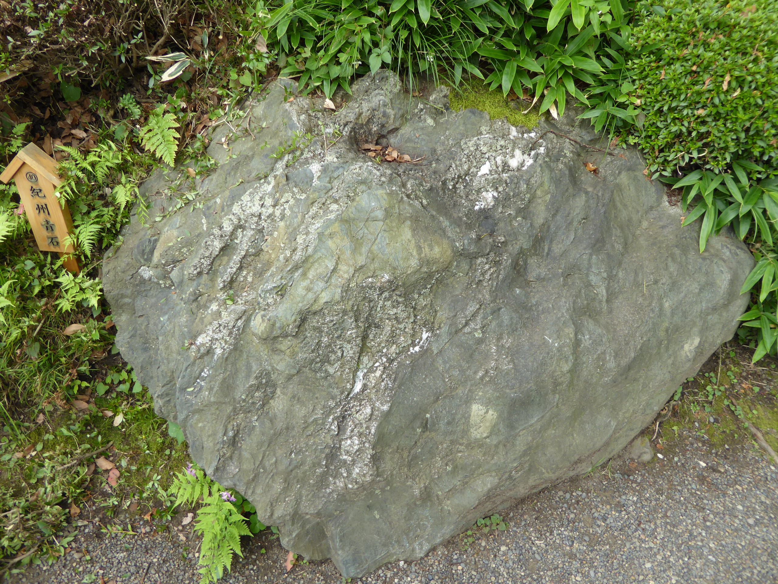 P1060214.JPG