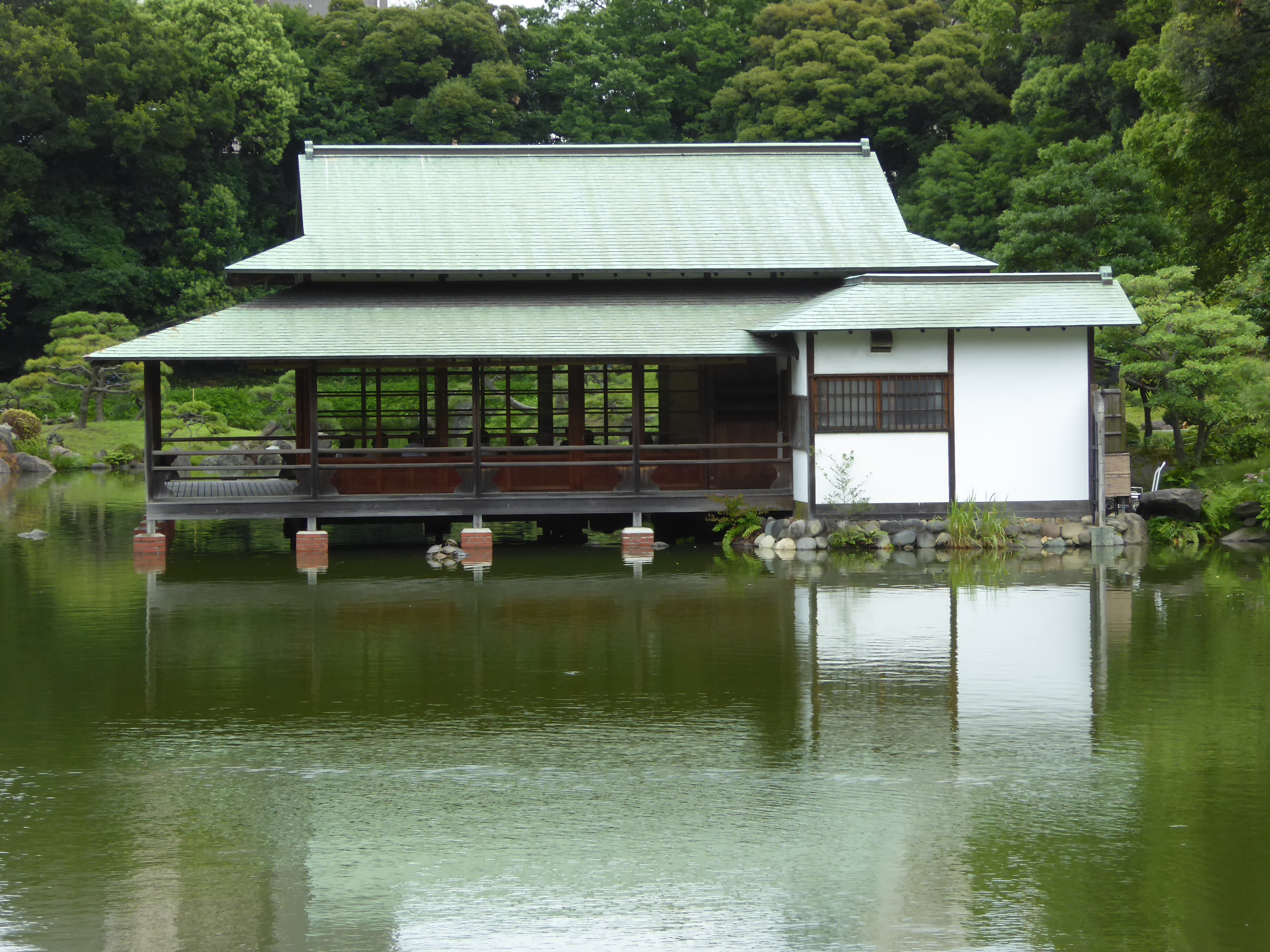 P1060221.JPG