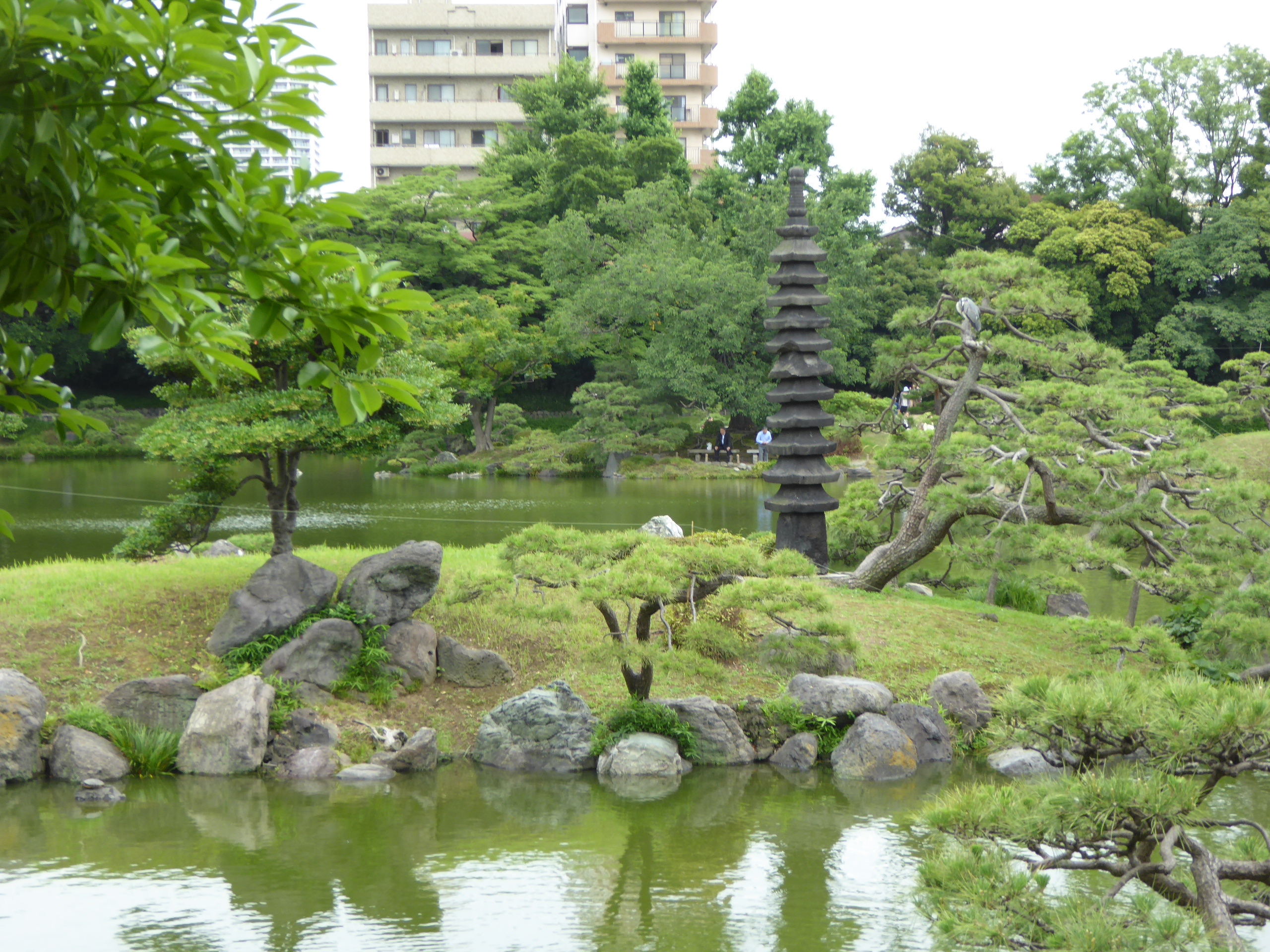 P1060223.JPG