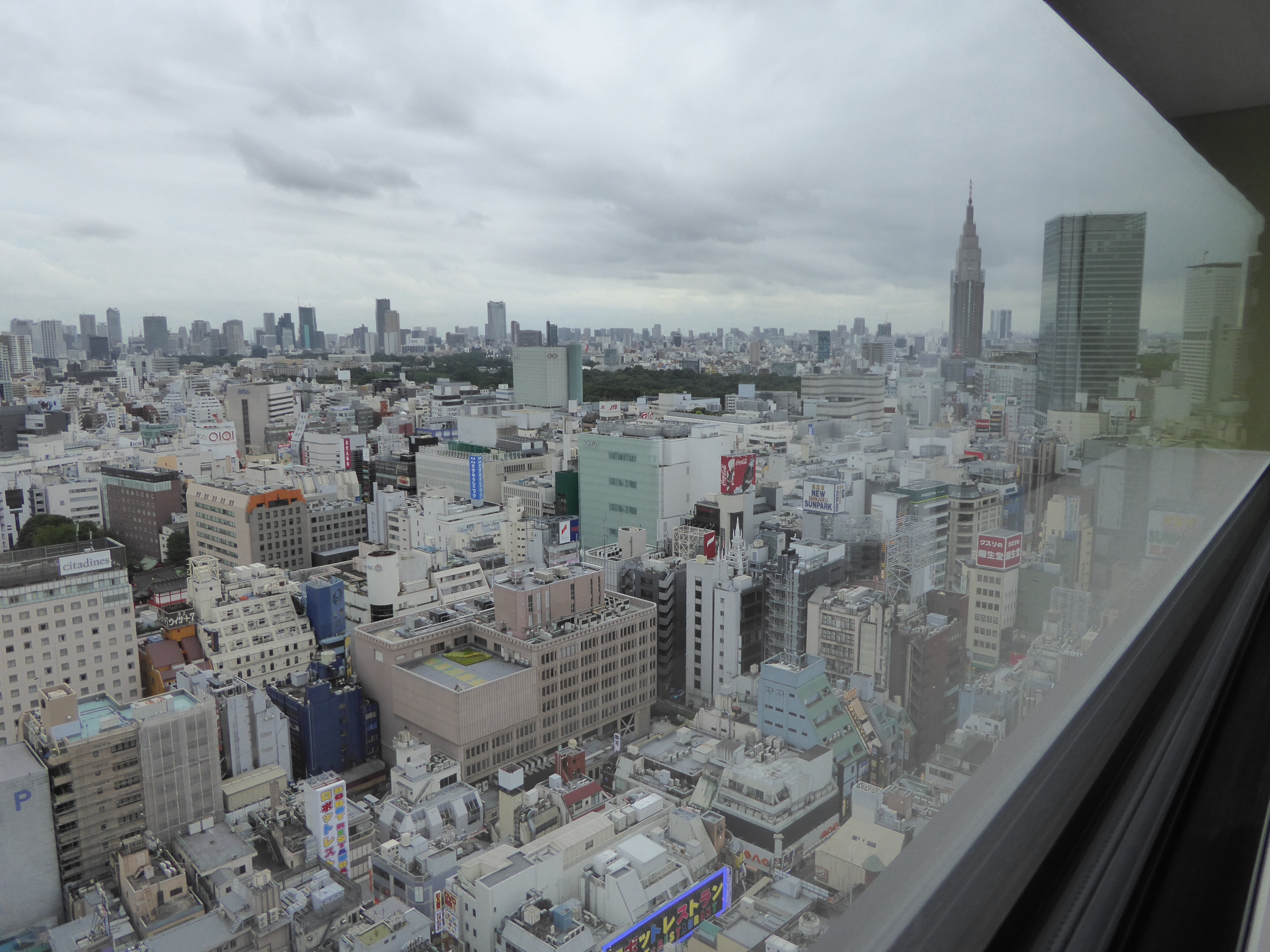 P1060238.JPG