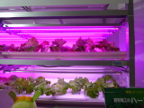img0002.jpg