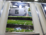 img0014.jpg