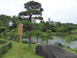 img0016.jpg