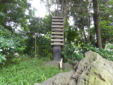 img0017.jpg