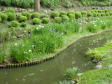 img0024.jpg