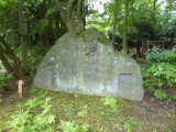 img0027.jpg