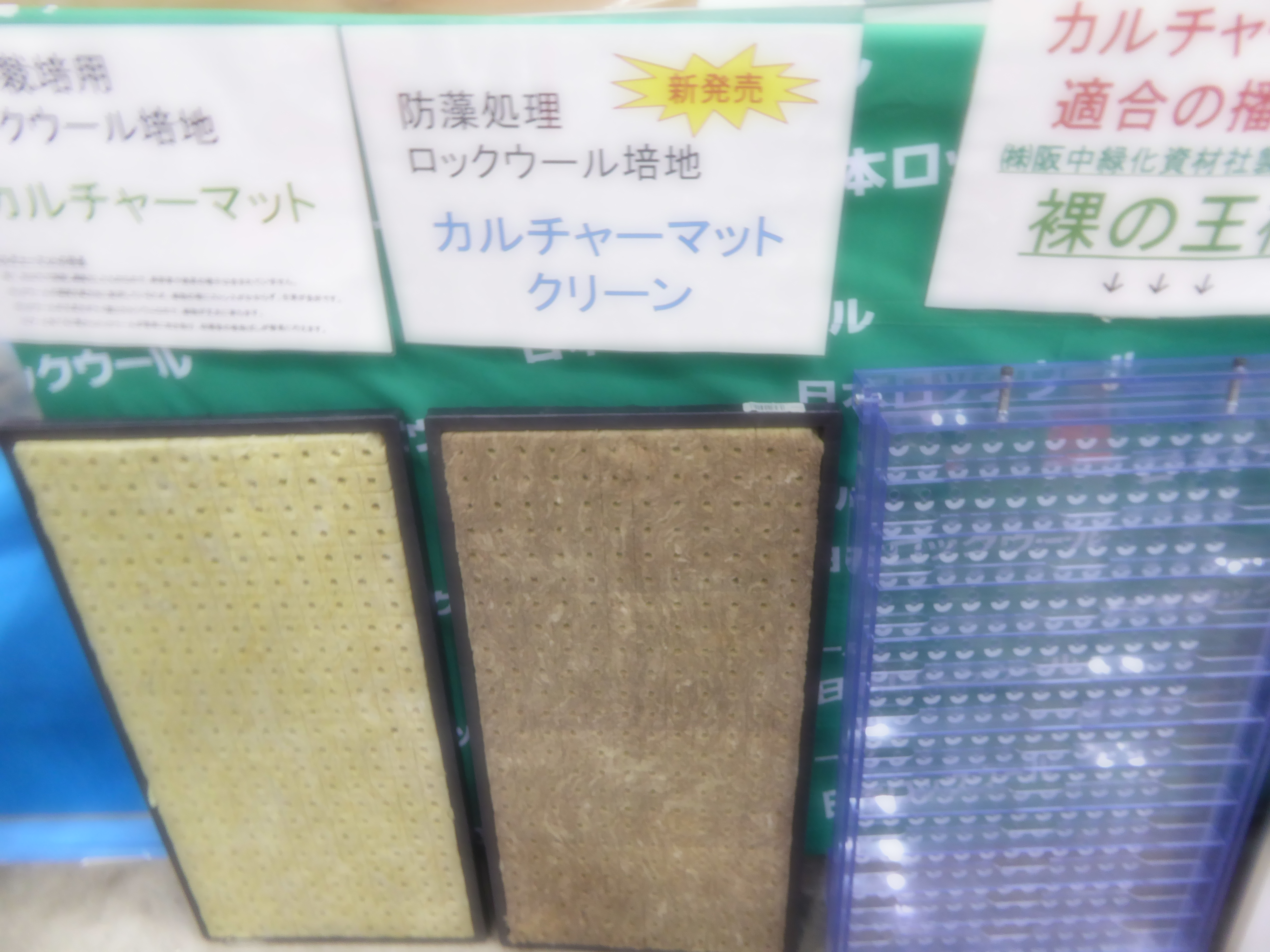 P1060389.JPG