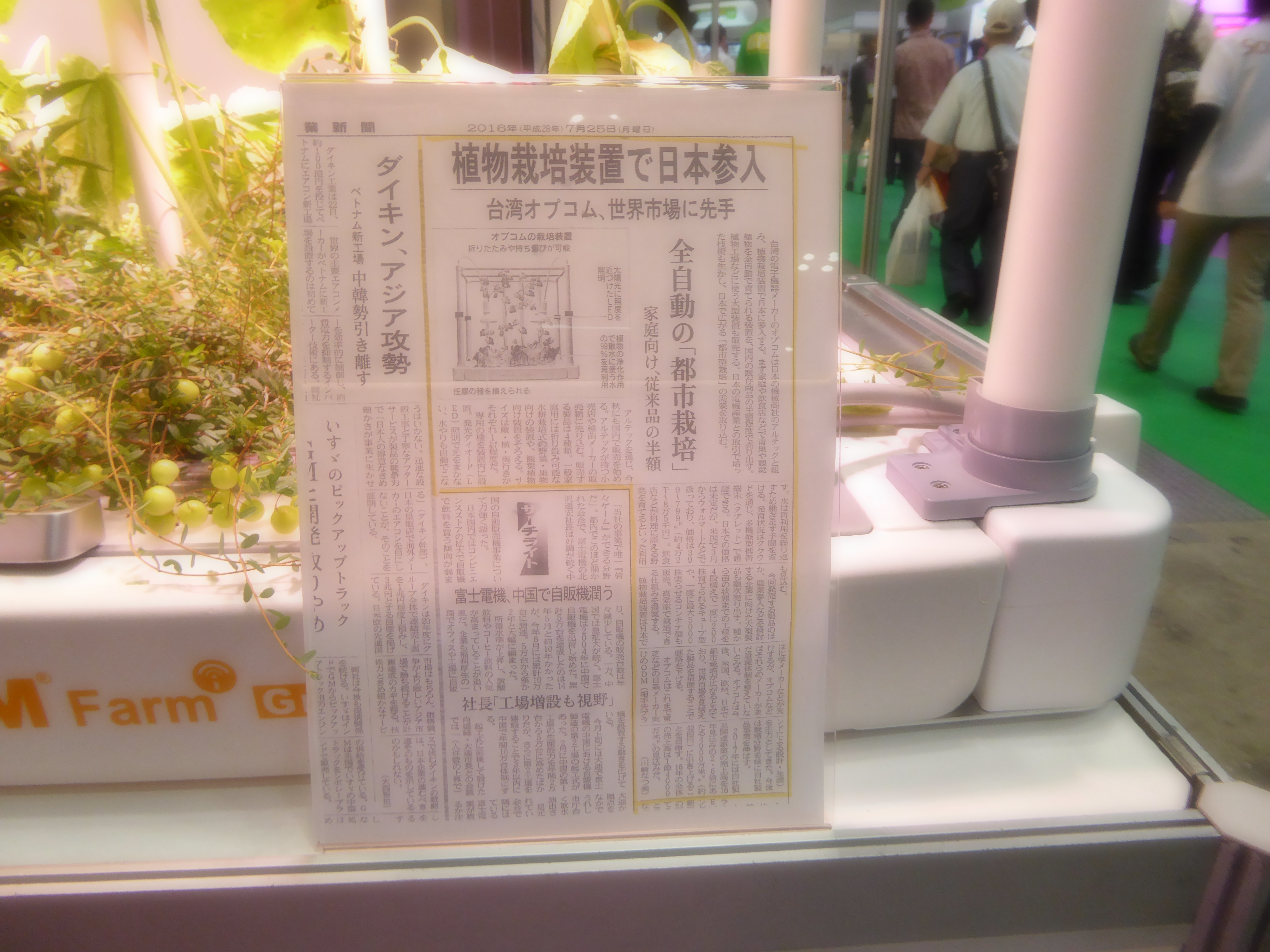 P1060391.JPG