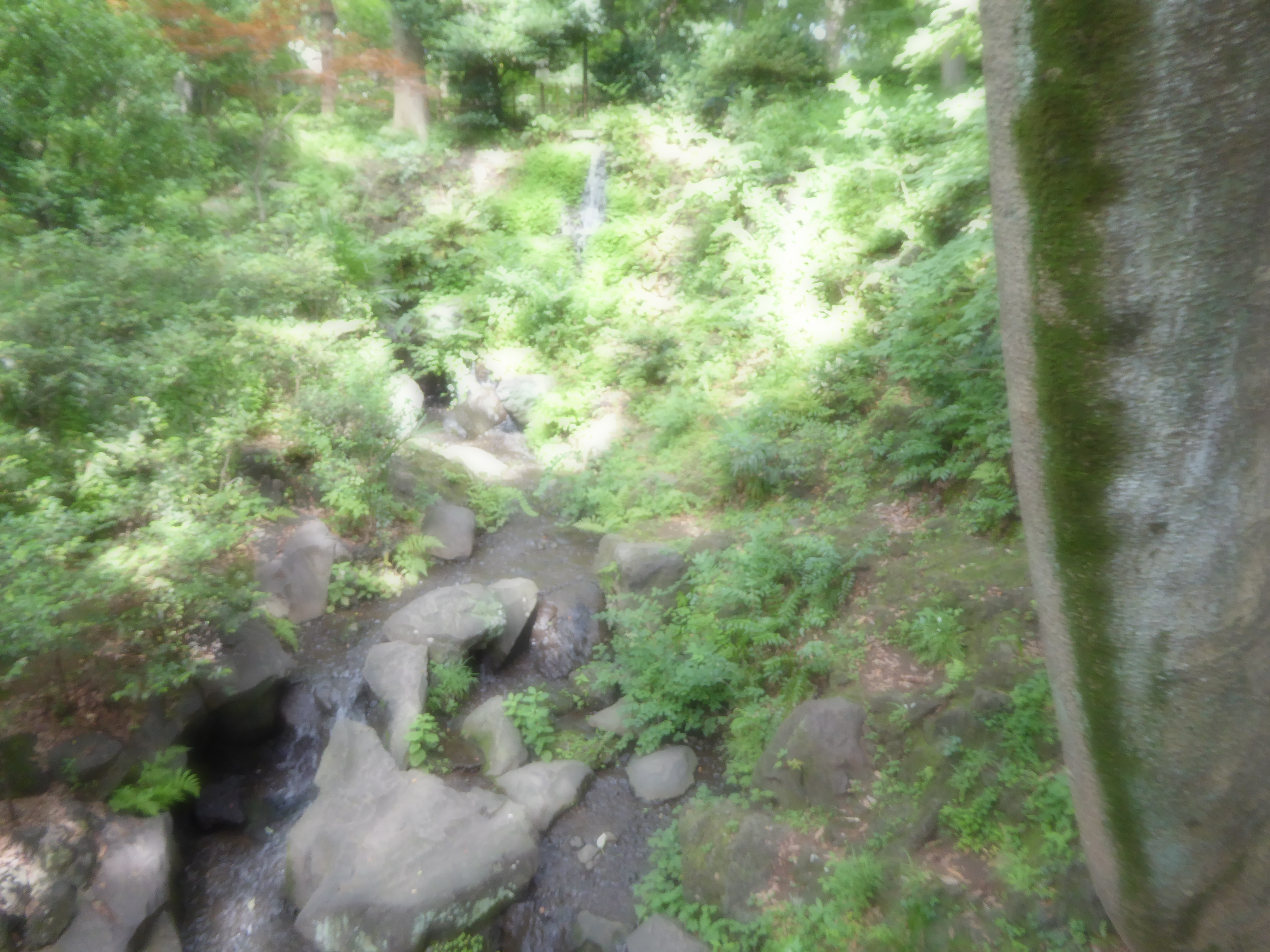 P1060400.JPG