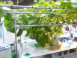 img0008.jpg