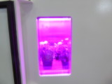 img0010.jpg