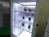 img0011.jpg