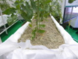 img0012.jpg