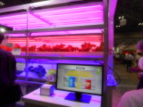 img0017.jpg