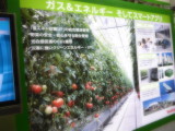 img0019.jpg