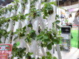 img0020.jpg