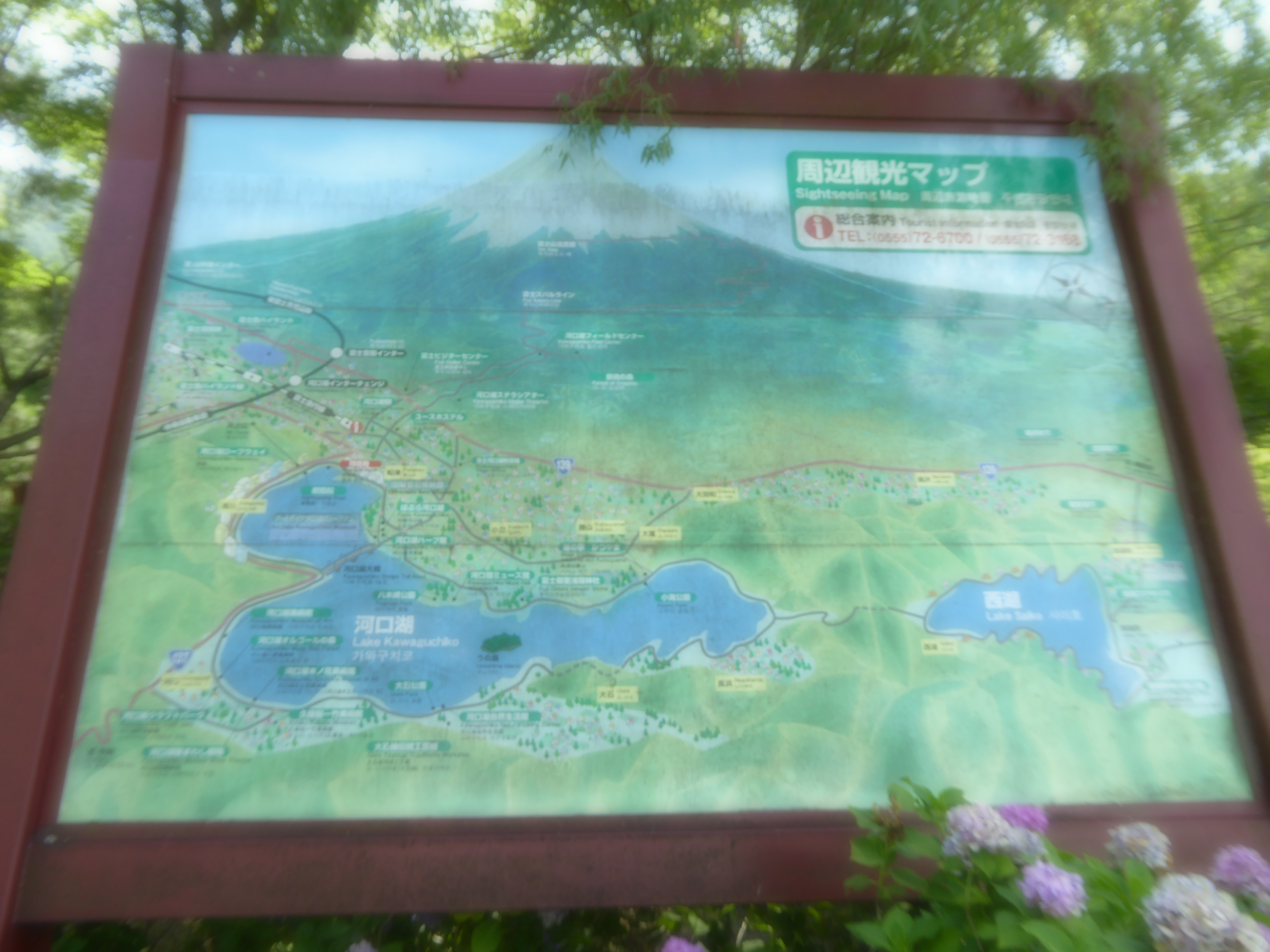 P1060418.JPG