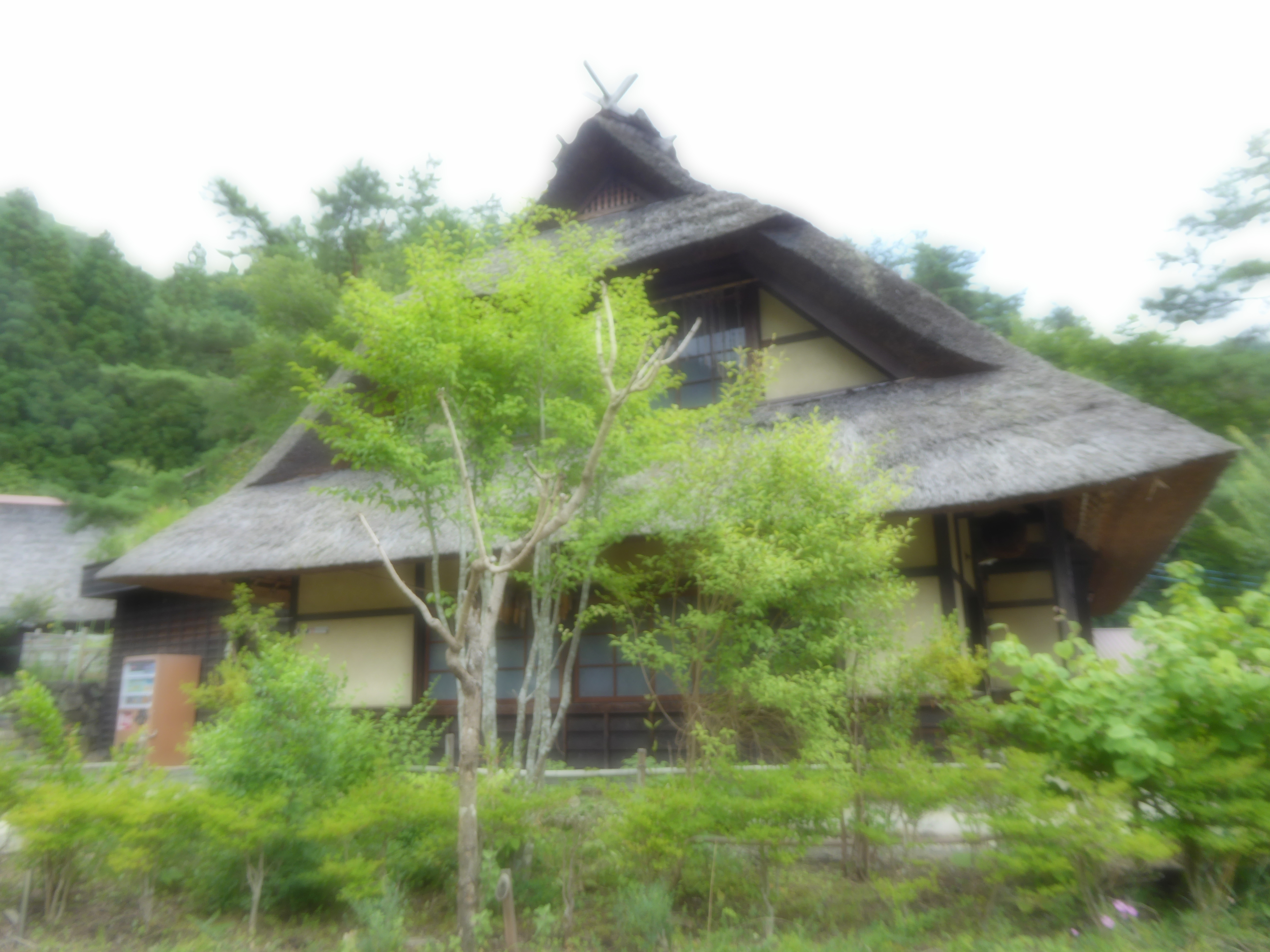 P1060425.JPG