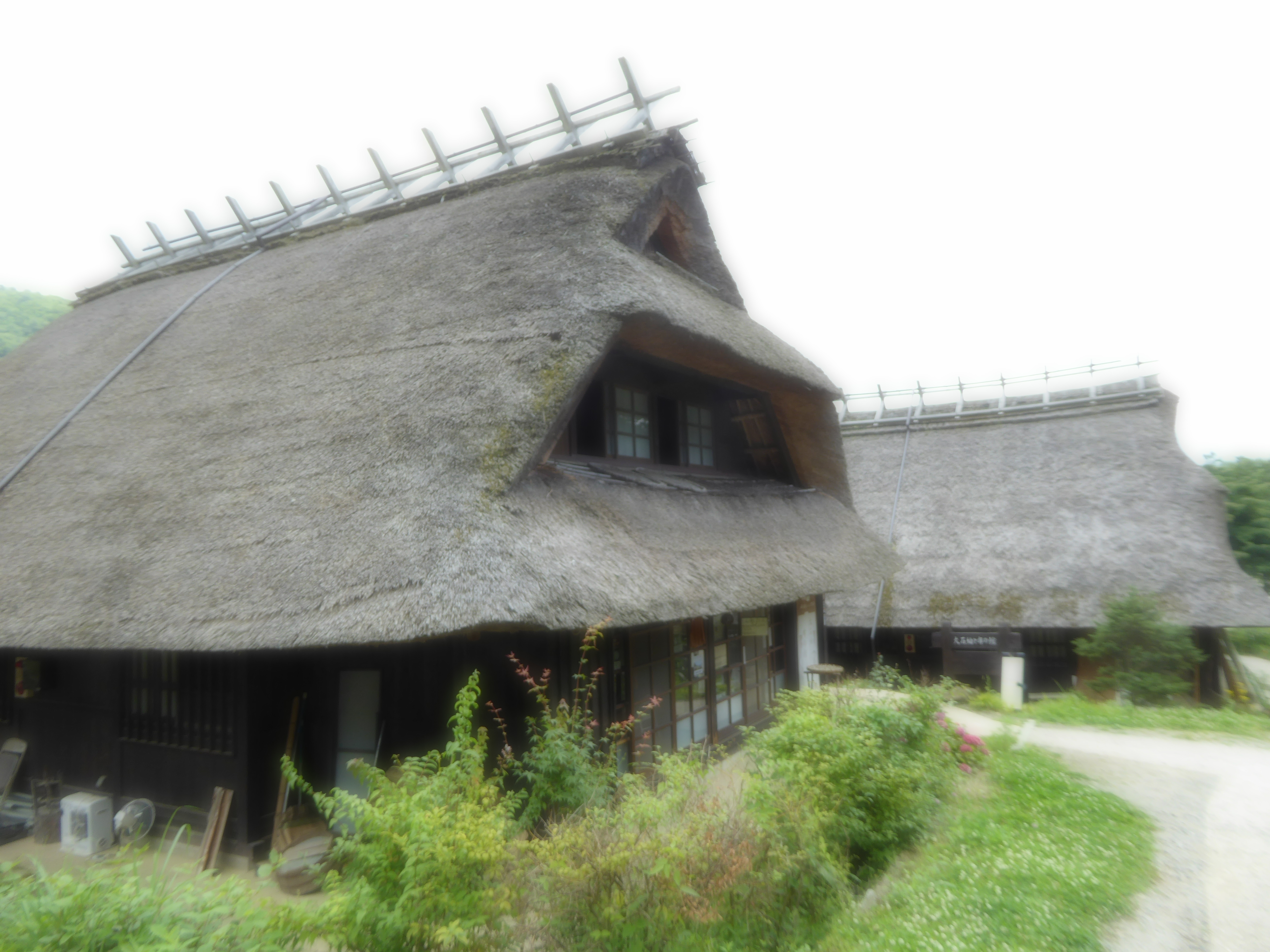 P1060426.JPG
