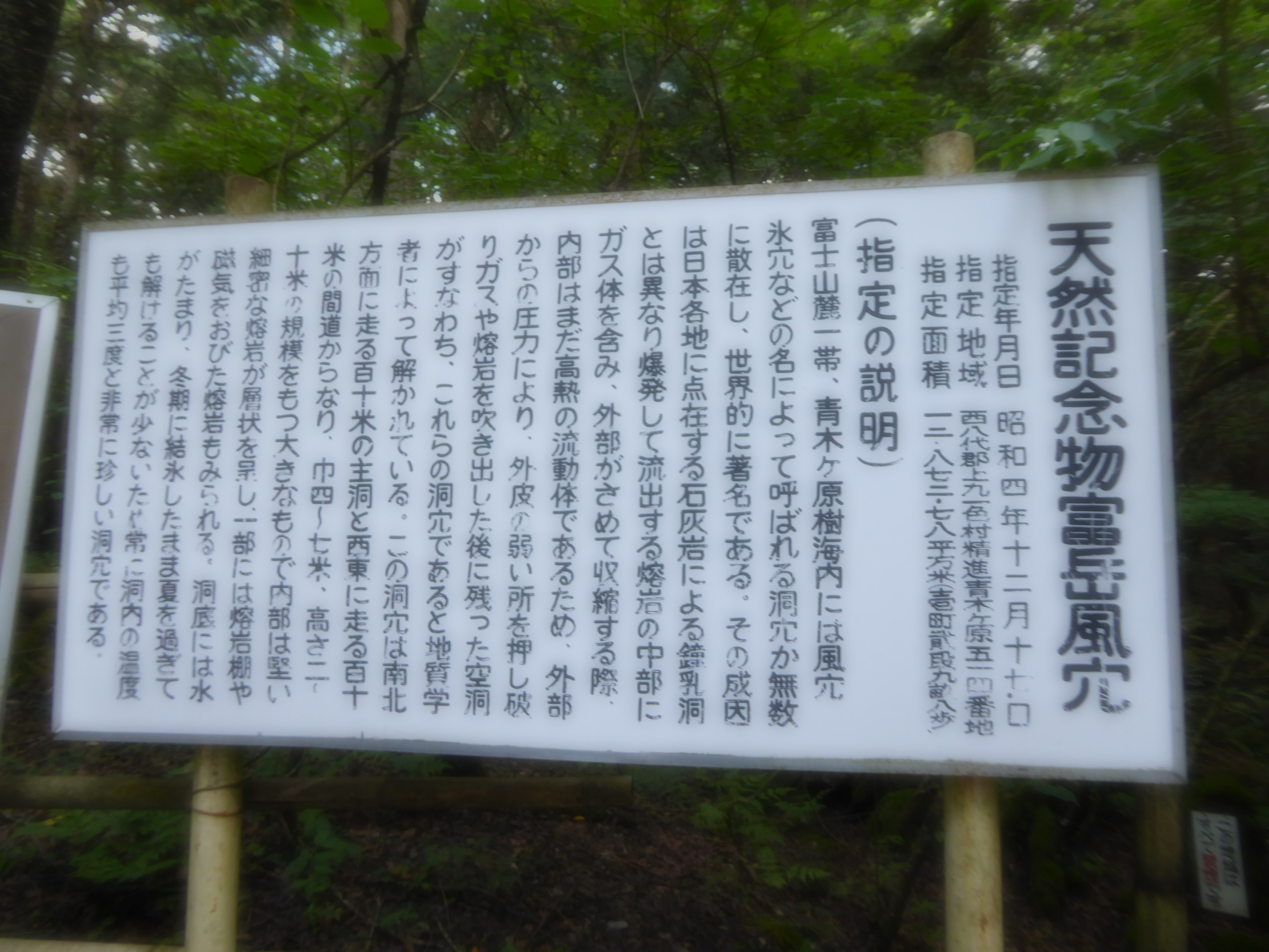 P1060429.JPG