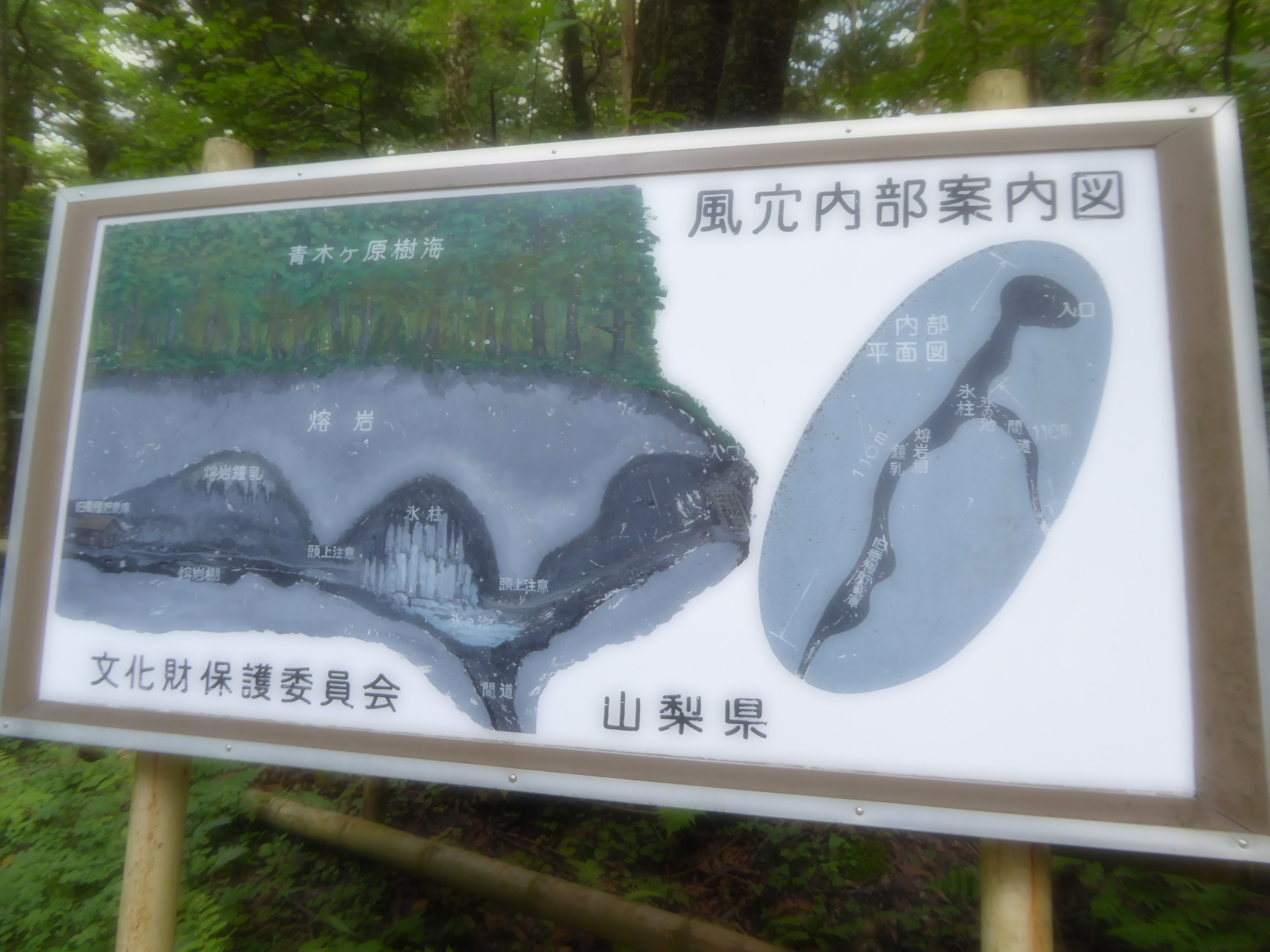 P1060430.JPG
