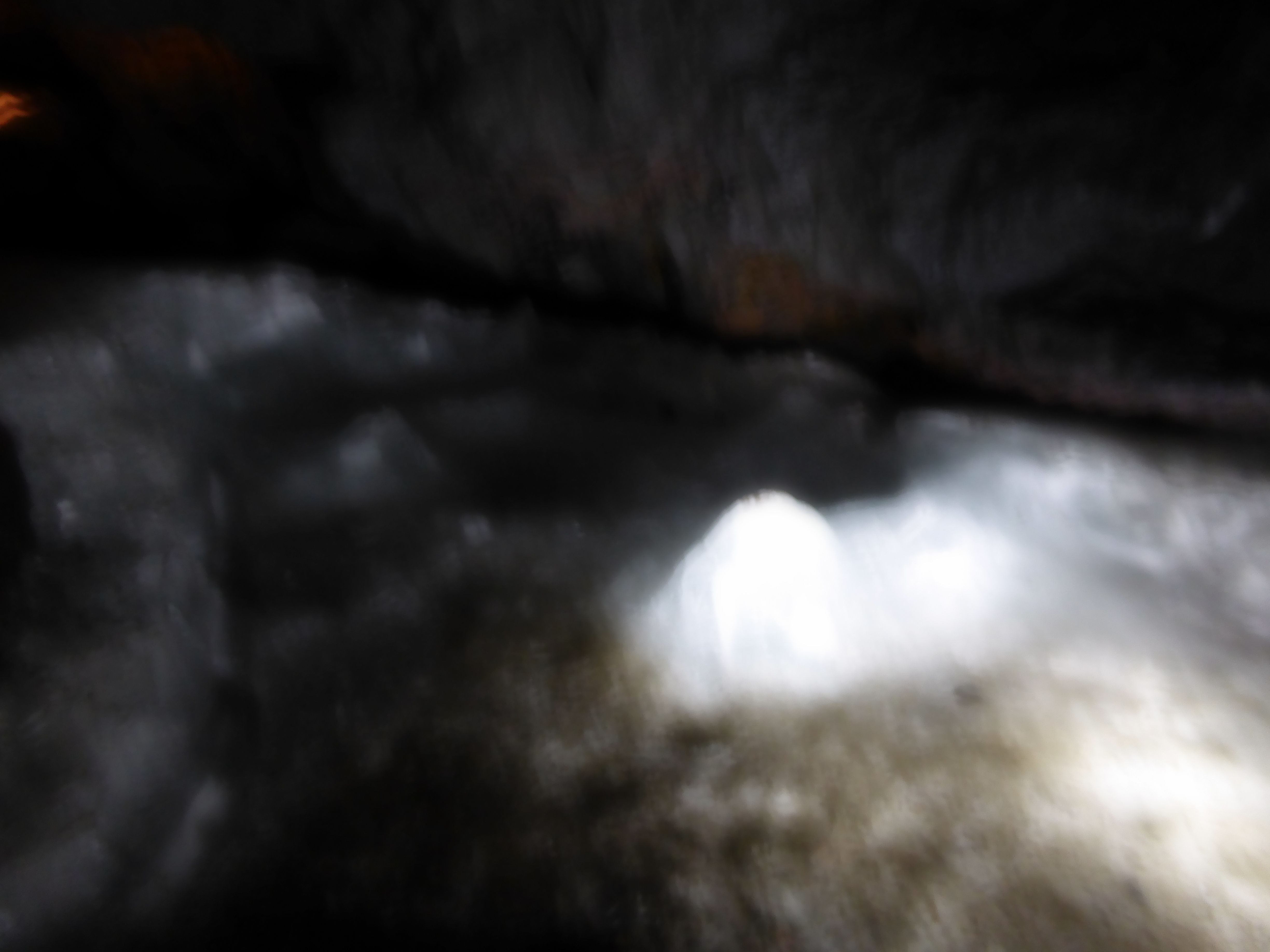 P1060432.JPG