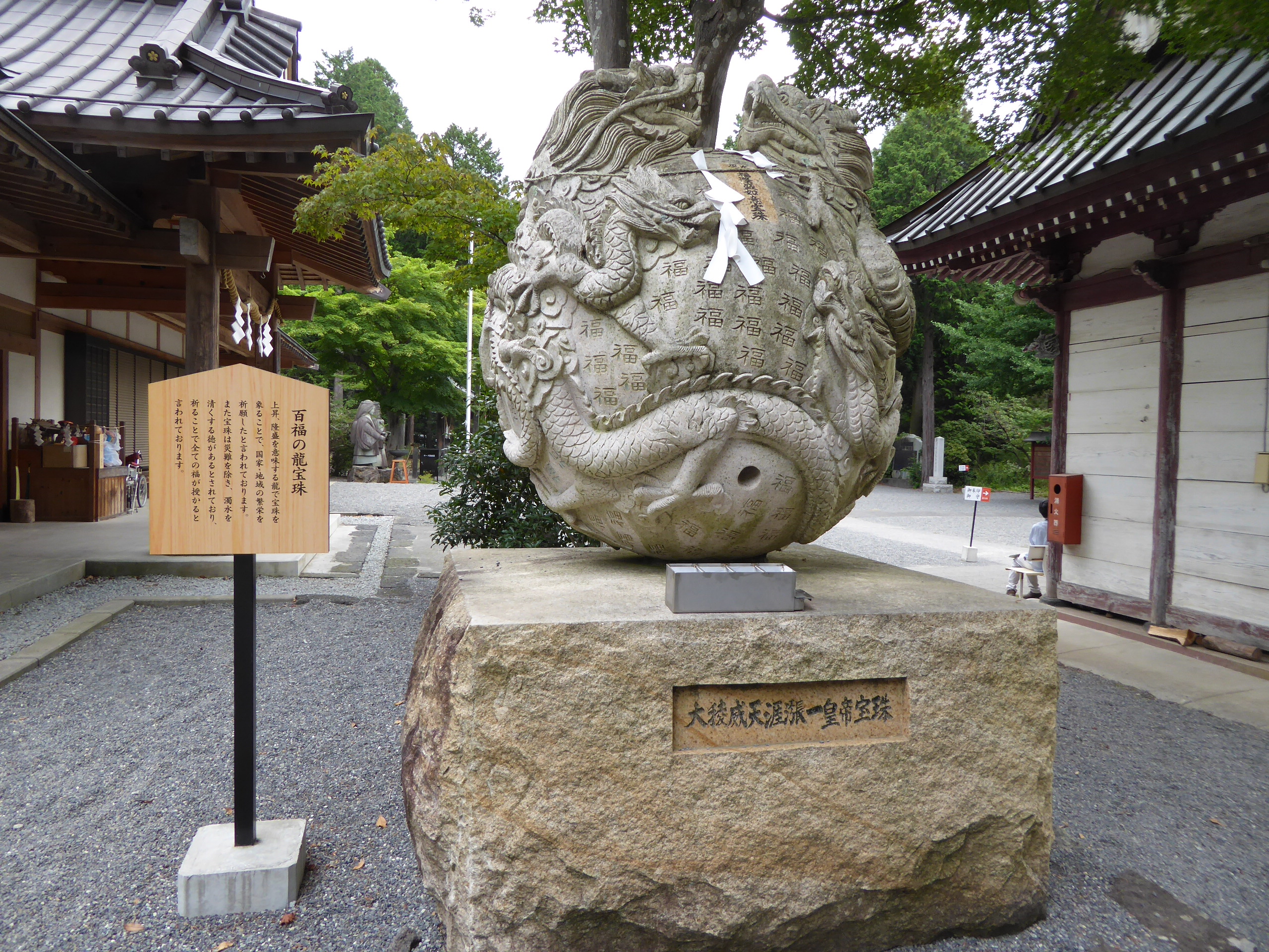 P1060447.JPG