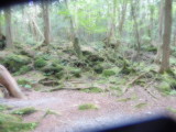 img0022.jpg