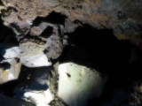 img0026.jpg