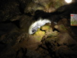 img0031.jpg