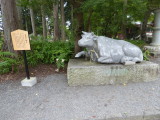img0040.jpg