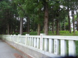 img0053.jpg