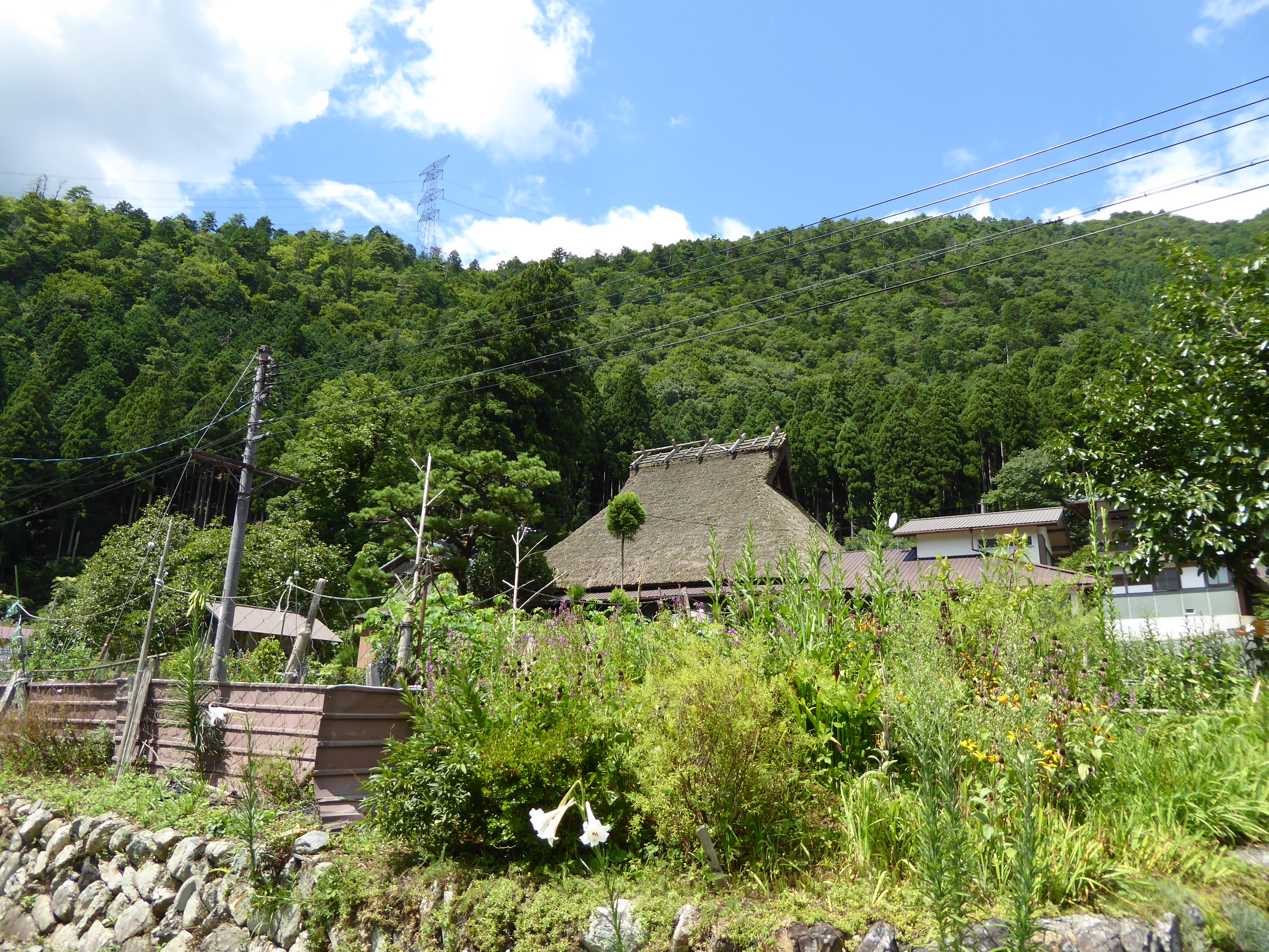 P1060491.JPG