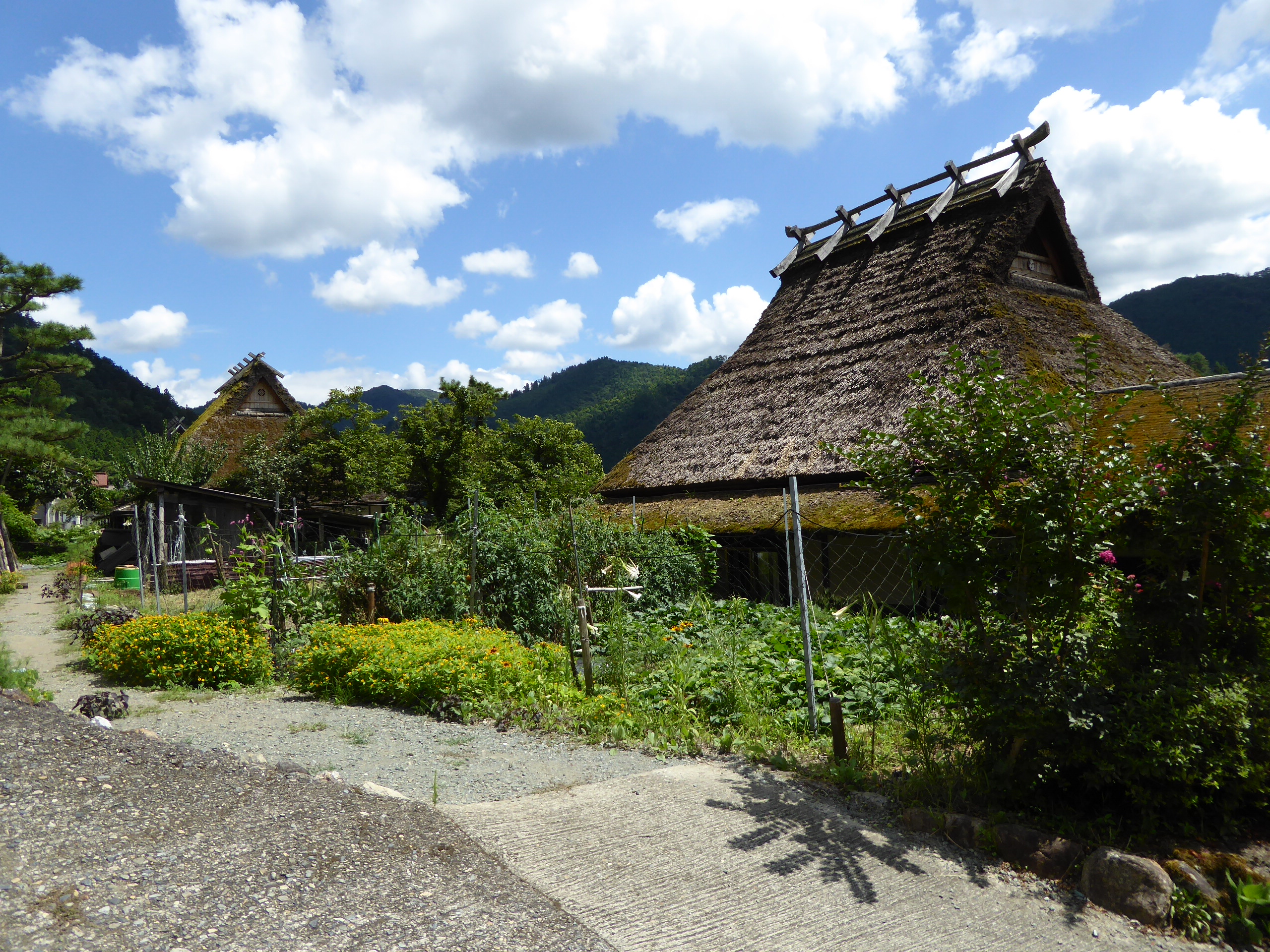 P1060492.JPG