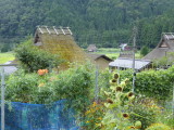 img0002.jpg