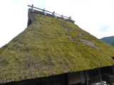 img0004.jpg