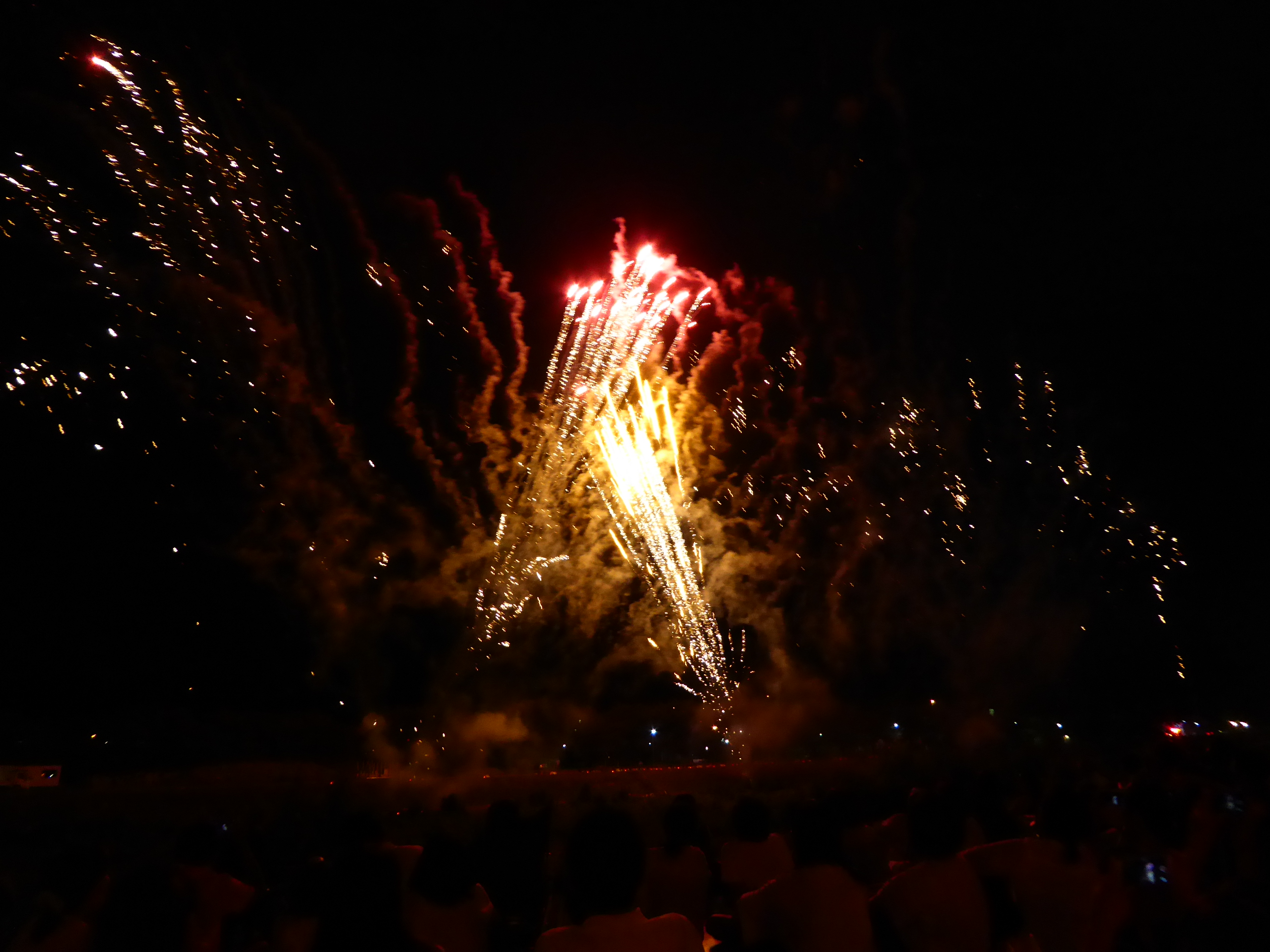 P1060514.JPG